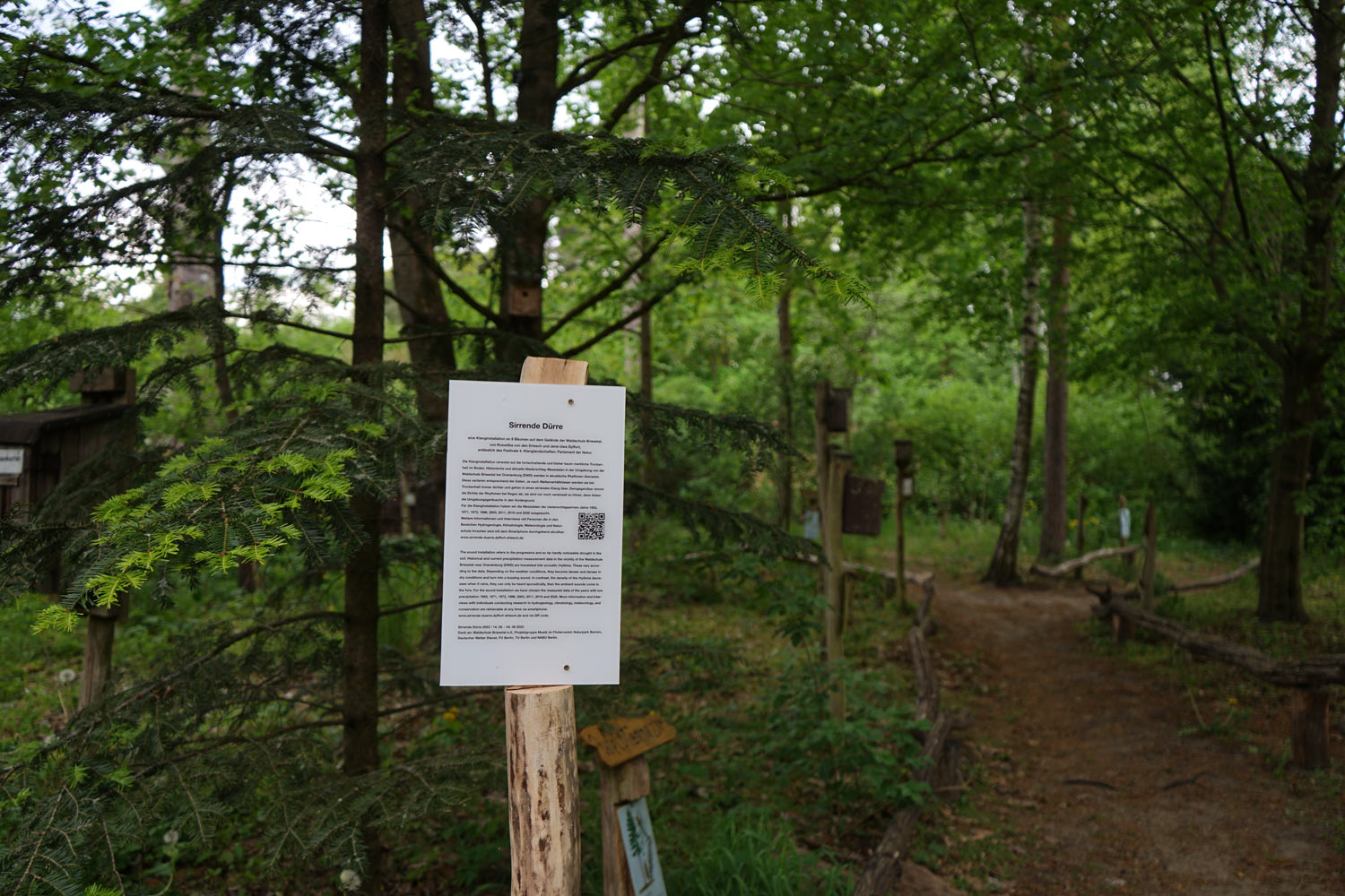 SirrendeDuerre14a_DyffortDriesch