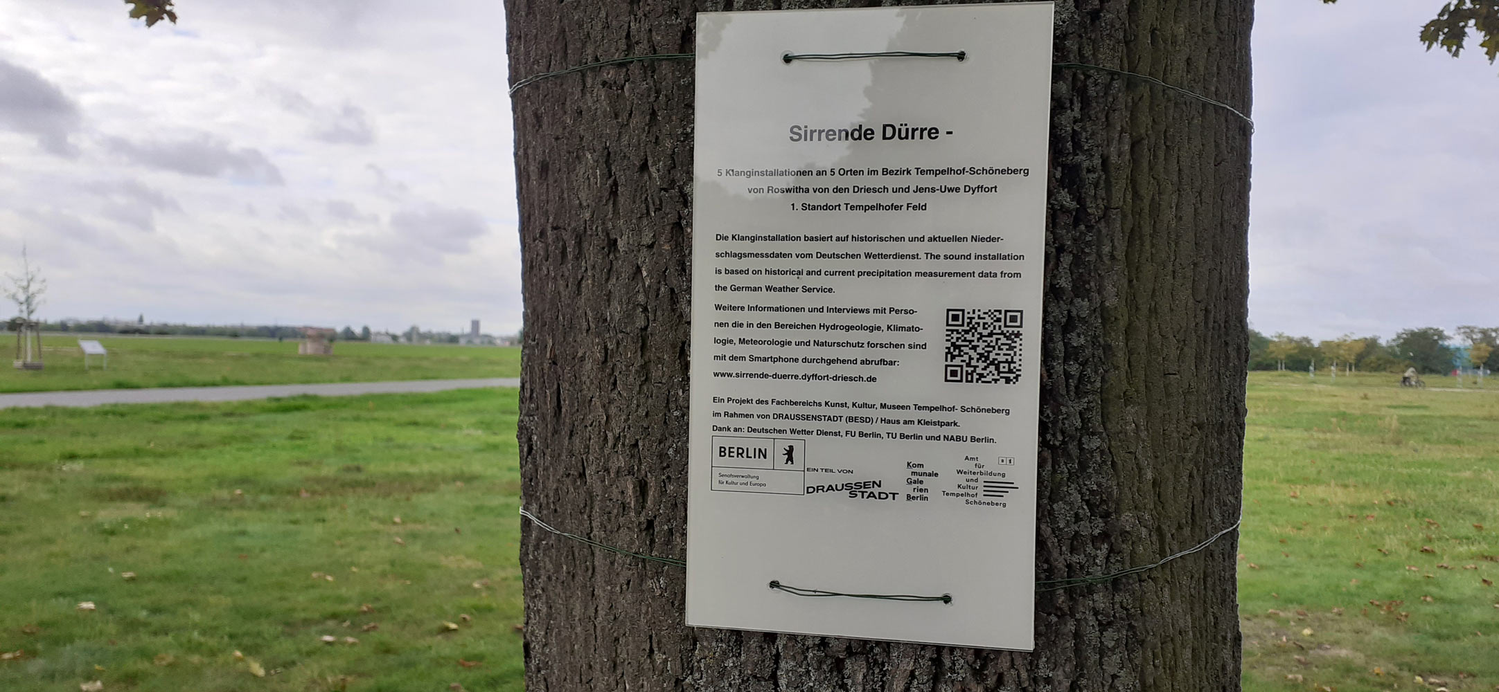 SirrendeDuerre3_DyffortDriesch
