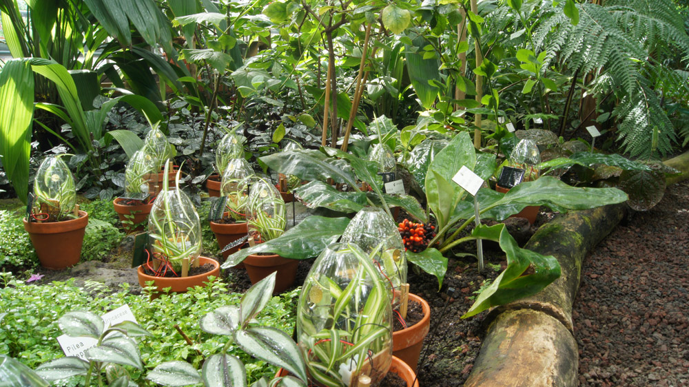 2. Skulpturen Sommer, Botanischer Garten Ulm, 2014 ulm